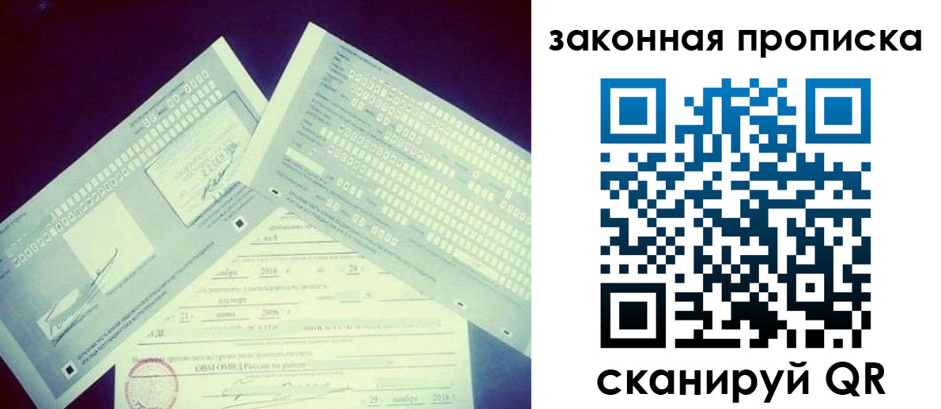 прописка поиск в Ленинградской области